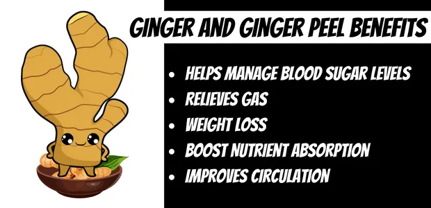 Ginger peel benefits