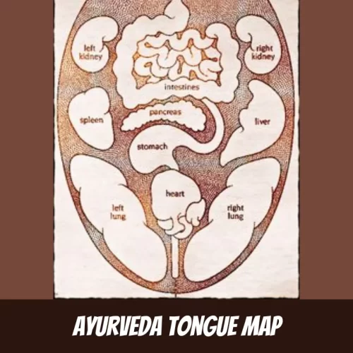 Ayurveda Tongue Map