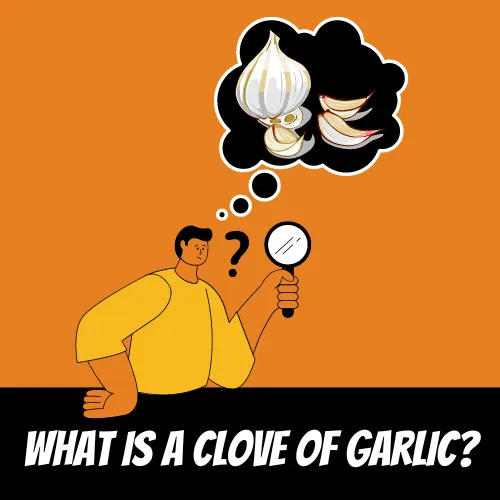 What is a clove of garlic?