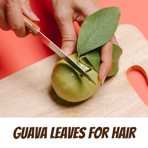 Guava Leaves for Hair